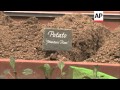 School Children Help First Lady Plant White House Garden For Spring