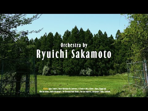 🎥 𝟰𝗸 𝐩𝐥𝐚𝐲𝐥𝐢𝐬𝐭ㅣ류이치 사카모토 오케스트라, 음악의 숲ㅣOrchestra by Ryuichi Sakamoto, Aqua, Rain, Opus