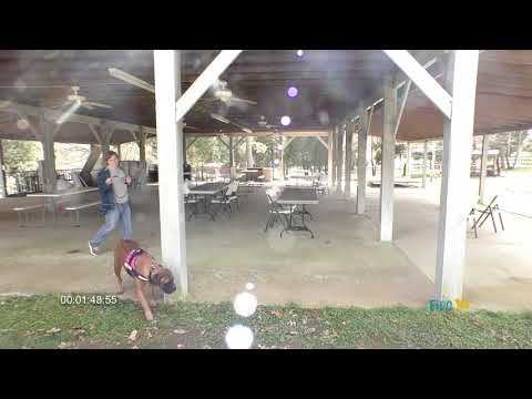 Izzy NW3 Stokesdale NC - Exterior