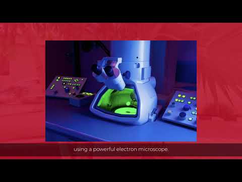 Connectomics(The Mapping Of The Connectome).