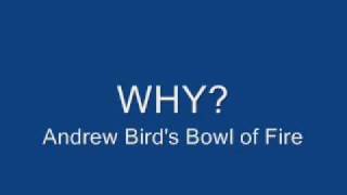 Andrew Bird&#39;s Bowl of Fire: WHY?