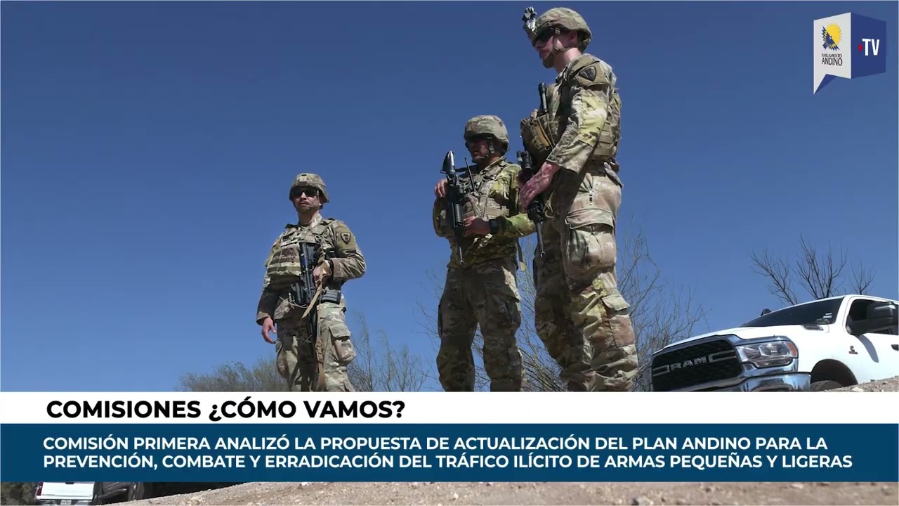 Comisión I del Parlamento Andino avanzó en propuesta regional contra el tráfico ilícito de armas