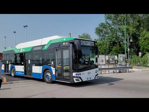 Alberoni Rocchetta: ferry boat + bus nr. 301 (route 11)