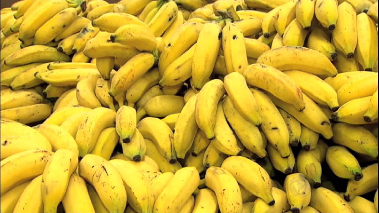 Perigo invisível: uso indiscriminado dos agrotóxicos no Brasil coloca saúde em risco