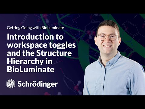 Learn Maestro BioLuminate: Introduction to Workspace Toggles and the Structure Hierarchy