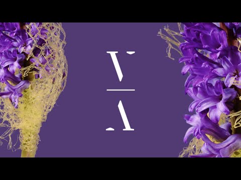 LJ MASE & Tailor - Take Our Time