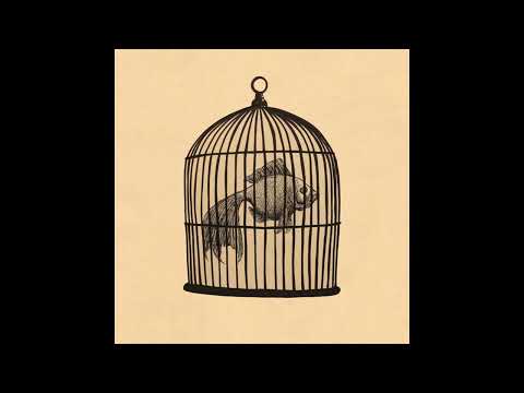 Rule #34 - Fish In A Birdcage (Unofficial Instrumental)