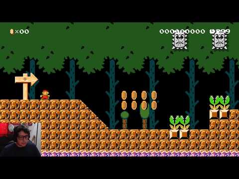 Stoneterror Forest - Super Mario Maker 2 SMB level