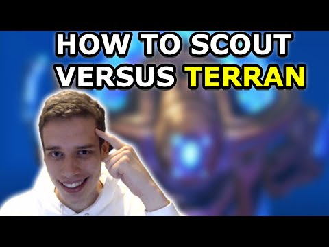 Scouting Versus Terran | Harstem (2/3) Hour