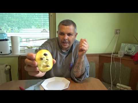 Indián banán kostolo