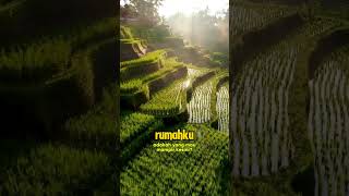 Download lagu INILAH DESAKU, JATILUWIH TABANAN BALI #jatiluwih #tabanan #bali #desaasri mp3