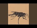 Insect flight (Inside a hornet, pre-flight warm-up, fatigue experiment)