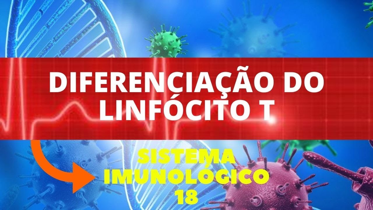 DIFERENCIAÇÃO DO LINFÓCITO T - (IMUNOLOGIA) -  SISTEMA IMUNOLÓGICO