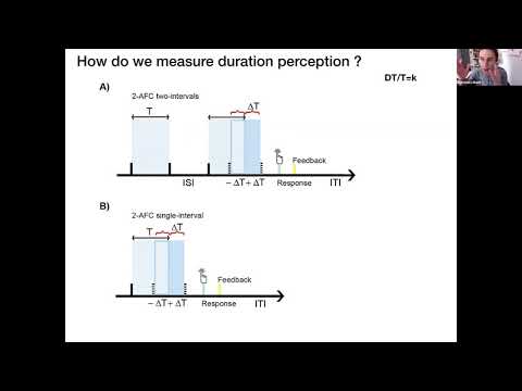 The Neuroscience of Space, Time and Number - 2