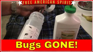 Insect Destroyer  Kill Bedbugs, Yellow jackets, fleas, ticks, bees etc