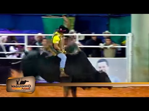 Waguinho Animal - Semi Final touro 11/06/16