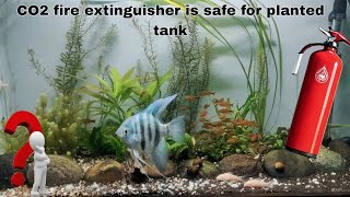 Can We Use CO2 Fire Extinguisher for Planted Tank | Must Watch Before Using CO2 in Tank