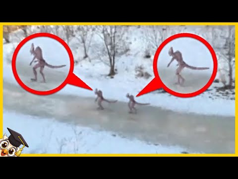 20 Terrifying Creatures Caught on Camera