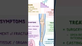 Fracture की imp points 🦴🦴👀👀#fracture #fracturerecovery #fracturecase