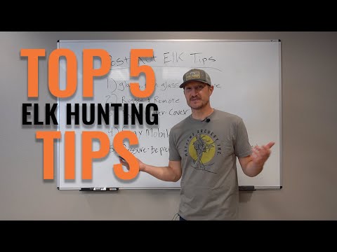 POST RUT Elk Hunting - Tactics to Kill a Late Season Bull