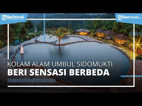 Tempat Belanja Oleh-oleh di Kawasan Bandungan Semarang, Tahu Serasi Oom Shin Jadi Favorit