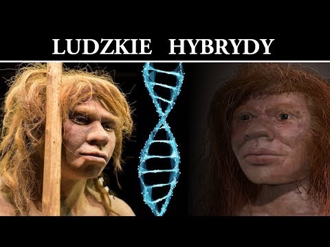 Hybrids of Different Human Species - Scientific Discoveries