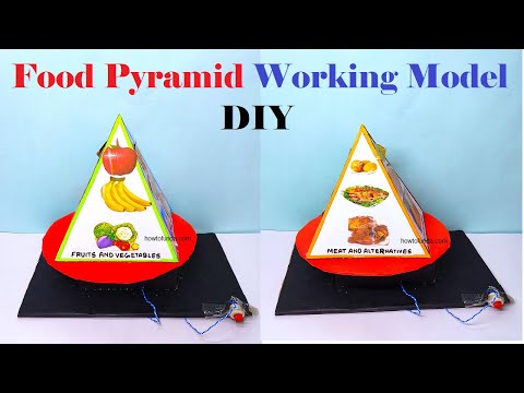Food Pyramid Working Model 3d Making Science Project DIY HowToFunda
