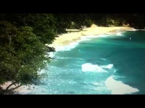 One Earth Green Earth Sydney 2010 - Nilesh Nair