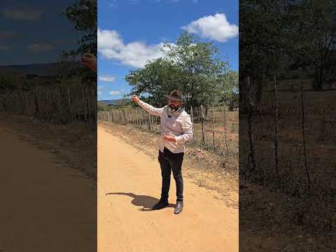 Fazenda Cajazeiras, medindo 155 hectares, Jataúba PE R$599.000