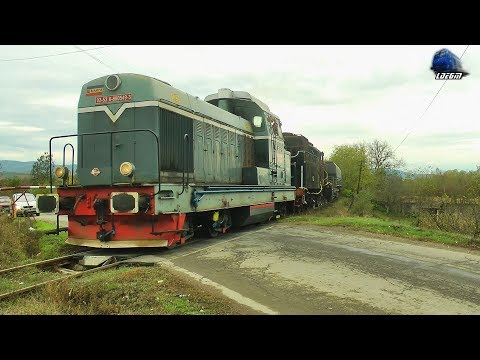 LDH 80-0549-3 & Locomotiva cu Abur 230.214 Steam Locomotive/Dampflok in Gurahonț - 04 November 2019