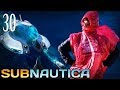 HDY10AumaSA/default.jpg