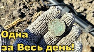 Хоть одна на Весь день.