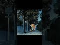 Feel Anime