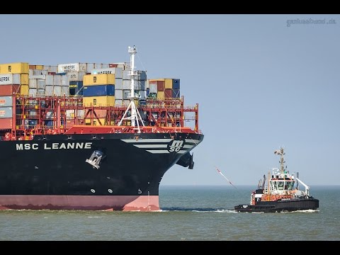 Die MSC LEANNE (L 400 m) am JadeWeserPort in Wilhelmshaven