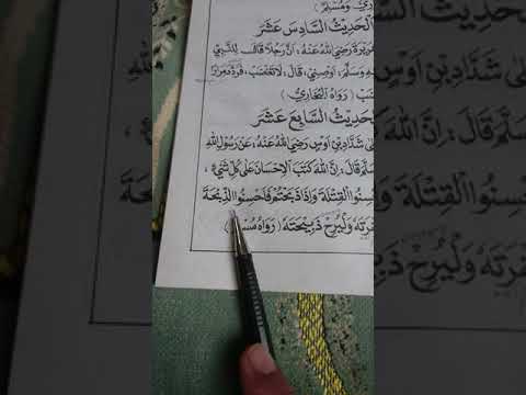 hadist ke 17, berbuat baik atas segala sesuatu, kitab matan arbain hal 15