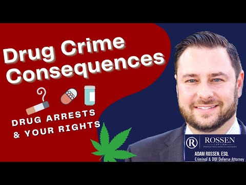 What are the consequences of a drug crime on your record?