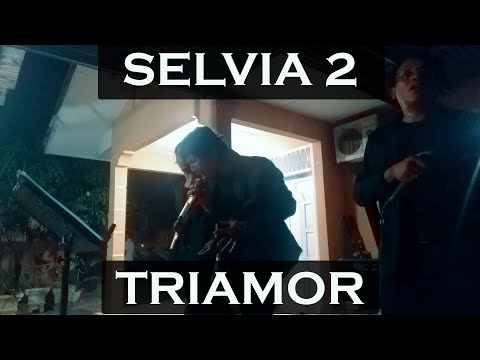 Diribak..!!Triamor - Selvia 2 (Live Cover)
