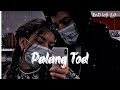 Palang Tod Slowed Reverb EnD LoFi