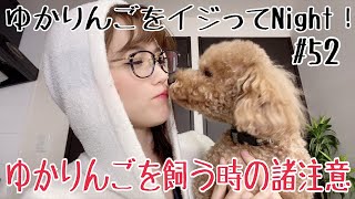 【生配信】ゆかりんごをイジってNight！#52 ゆかりんごを飼うときの諸注意とは？