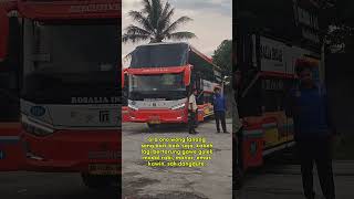 Download lagu Rosalia Indah Lampung | Bus Rosalia Indah Story Kata-kata #massoeparproject mp3