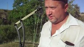 Ссылка