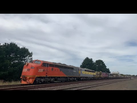 9197 Broad Gauge SSR Grain Train At Meredith With S302 S317 T363 P16 S312 (13/2/2022)