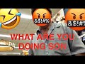 PUBLIC EXPERIMENT REPLAY WOW HE SAID THAT GONE WRONG