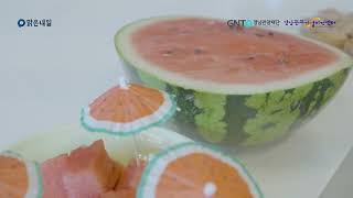 [벼리별 홍보단] 7월 맑은내일