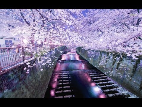TOKYO - Asian ChillOut {Japanese Zen Lounge}