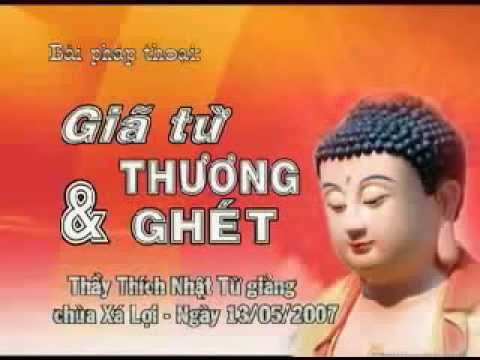 Kinh Trung Bộ 74 (Kinh Trường Trảo) - Giã từ thương và ghét (13/05/2007)