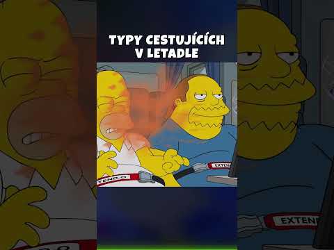 Jaké jsou TYPY CESTUJÍCÍCH V LETADLE... Zažili jste některé? | YTP Shorts 374 #Erton #Simpsonovi