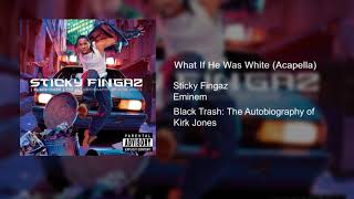 Sticky Fingaz &amp; Eminem - What If He Was White (Acapella)