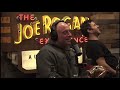 Joe Rogan Scares Mark Normand On Mushrooms