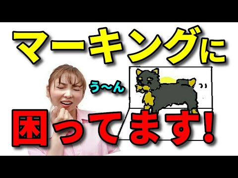 犬は何歳になると足を上げて排尿するようになりますか?